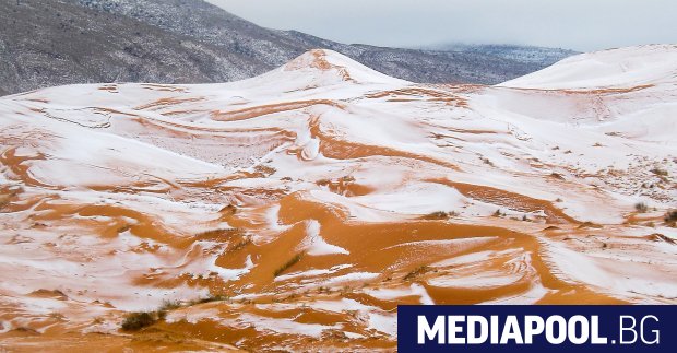 Зачестилите снеговалежи в пустинята Сахара са признак за глобално затопляне,