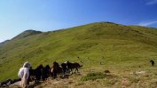 Пастирът, подал фалшив сигнал за изчезнали туристи в Стара планина, е арестуван