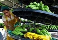 СТО: Новите тарифи на ЕС за внос на банани са незаконни 