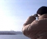 Усилено наблюдение по Дунав за умрели и болни птици 