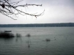 Дунав отново се покачва