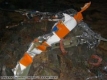 Човешки останки открити сред отломките на самолета на Стив Фосет