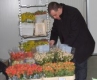 Цветя от Турция заливат пазара ни