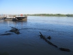 Висока вълна по Дунав приближава България и Румъния