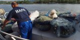 76-годишна баба бе глобена с 3700 лева за незаконен риболов