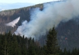 Мерки срещу пожари и корояди в четири резервата за 4.4 млн. лв.