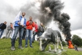 Белгийските производители на мляко и свинско месо протестират