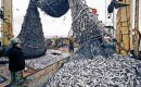 Рибните запаси на планетата намалели наполовина за 40 години