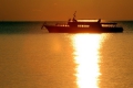 14 загинаха при потъване на туристическо корабче край Одеса