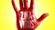Световната здравна организация обяви вируса Зика за глобална опасност