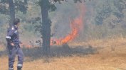 Над 6 млн. лева са щетите от големите горски пожари през лятото