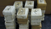 Властите в Панама задържаха 64 души и 4 тона кокаин