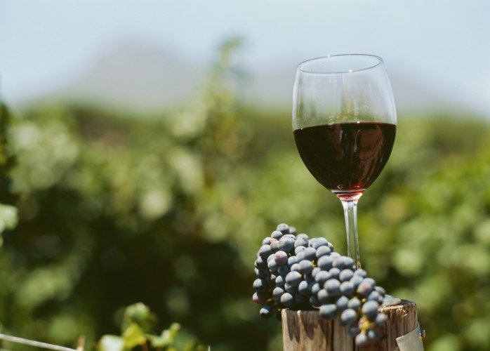 Заради лошото време тази година производството на вино във Франция да спадне с 18%