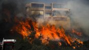 Над 180 000 евакуирани заради пожари в Калифорния