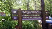План за "опраскване" на 570 дка от парк "Витоша"