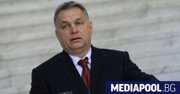 Виктор Орбан Доктор Розалия Горбе не е почитател на унгарския