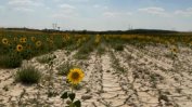ЕК изтегля плащането на субсидии за земеделците заради сушата