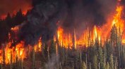 Пожарите в Сибир са свързани с климатичните промени