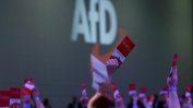 Крайнодесните в Германия губят подкрепа преди решаващи избори в две източни провинции