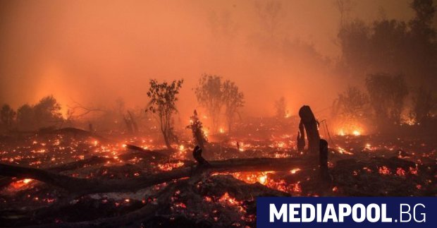 Двама австралийски пожарникари доброволци загинаха при опит да потушат горски