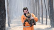 Половин милиард са загиналите животни в австралийските пожари
