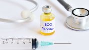 Връзка между ваксината БЦЖ и смъртността от Covid-19 откриха епидемиолози от САЩ