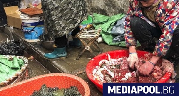Животинският пазар в град Ухан Централен Китай е изиграл роля