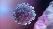 Чехия регистрира 168 нови случая на коронавирус