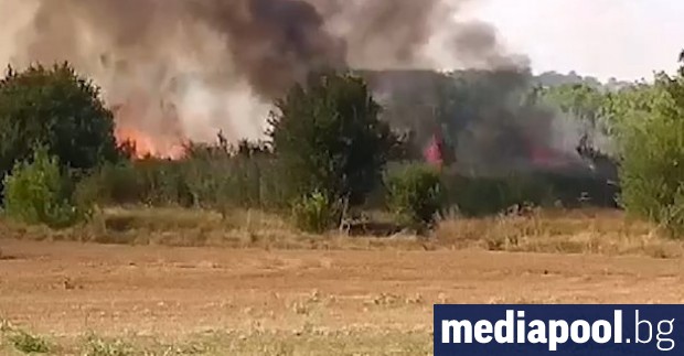 Пожарът който от два дни бушува край село Лесово снощи