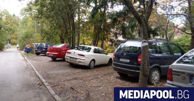 Най много нарушения за паркиране в зелени площи се установяват в