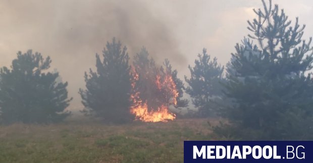 Нови пожари избухнаха в Хасковска област в понеделник на двете