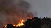 Пожарите в Калифорния са изпепелили гори колкото територията на щата Кънектикът