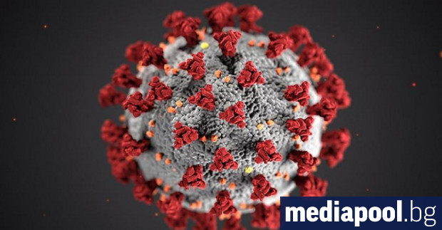За последното денонощие новите случаи на коронавирус у нас са