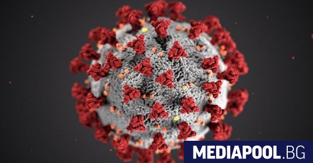 Общо 4041 души са новите случаи на коронавирусна инфекция установени