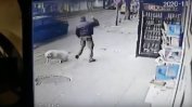 Арестуван е мъж, намушкал безобидно улично куче с нож