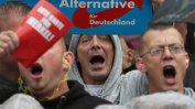 "Алтернатива за Германия" е съгласна мигрантите да могат да стават германски граждани