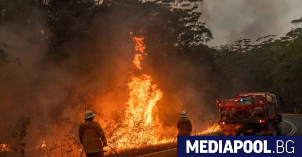 Над 70 жилища са унищожени от горския пожар, бушуващ край