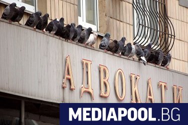 Адвокатски съвет Пловдив в петък обвини в неадекватност ръководството