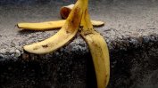 Мистериозна болест може да остави света без банани