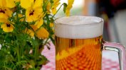 Русия обмисля да забрани чешката бира