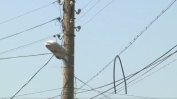Скъсан кабел уби млад мъж в Златарица