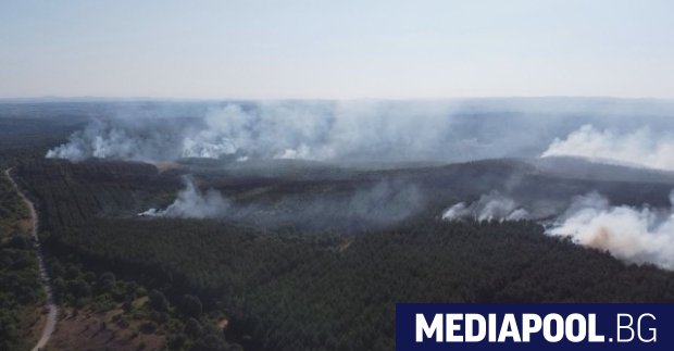 Големият горски пожар в Сакар планина е овладян. Още има