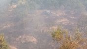Помощ по 15 хил. лв. за наследниците на загиналите в пожара лесничеи