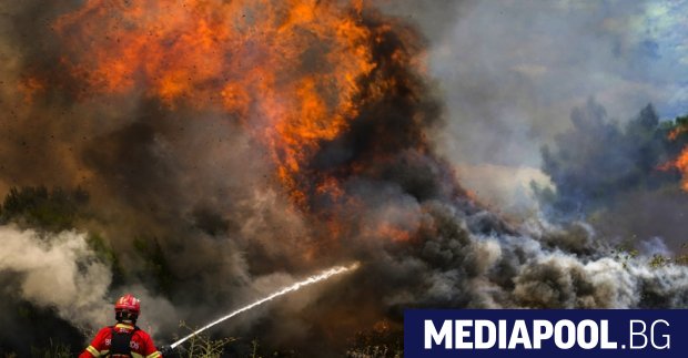 Опустошителните горски пожари в Португалия през последните няколко седмици са