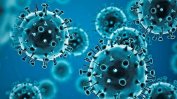 Броят на заразените с коронавирус в Европа се увеличава, но болниците не са претоварени
