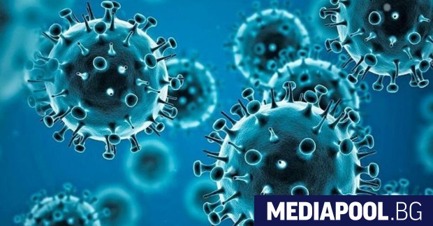 Новите случаи с коронавирусна инфекция са 1350 при направени 6713