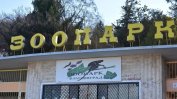 Пет мъртви кошути и елени са открити в благоевградския зоопарк
