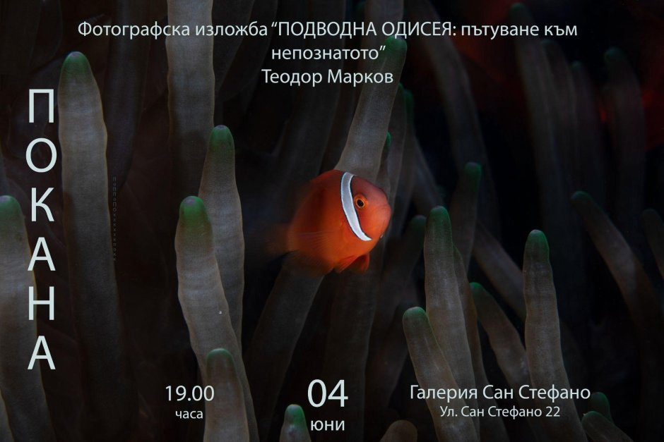 Съвсем скоро – между 4 и 18 юни – фотоизложбата му „Подводна Одисея: Пътуване към непознатото“ ще може да бъде видяна в галерия „Сан Стефано Плаза“, Сн. Теди Марков