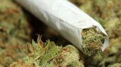 Американският щат Мериленд ще отмени 175 000 присъди за марихуана