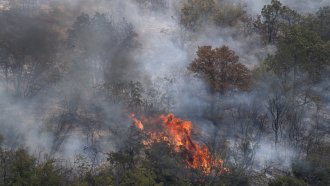 Пожарите в Северна Македония засегнаха 12 села